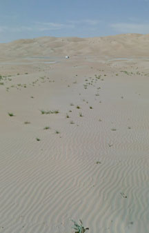 Arab Dune Camel Walk Camping VR BnB Hotels tmb10