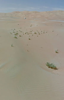 Arab Dune Camel Walk Camping VR BnB Hotels tmb11