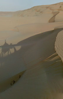 Arab Dune Camel Walk Camping VR BnB Hotels tmb18