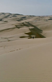 Arab Dune Camel Walk Camping VR BnB Hotels tmb19