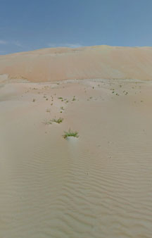 Arab Dune Camel Walk Camping VR BnB Hotels tmb26