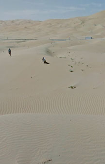 Arab Dune Camel Walk Camping VR BnB Hotels tmb6