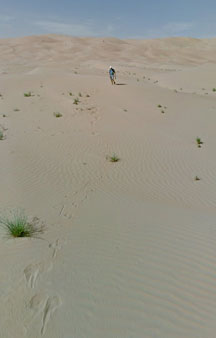 Arab Dune Camel Walk Camping VR BnB Hotels tmb7