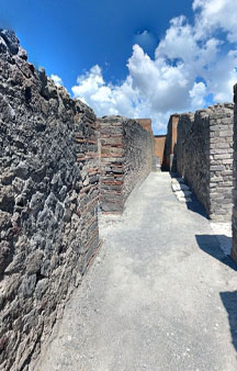 Pompei Roman Ruins VR Archeology House Of Geometric Mosaics tmb1