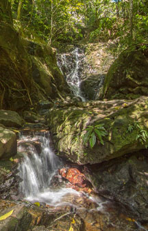 Waterfall Tonsai Phuket Thailand Scenery Locations tmb1