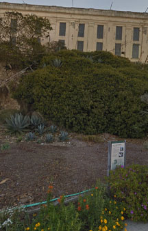 Alcatraz Prisoner Gardens 2013 VR Alcatraz Island tmb29