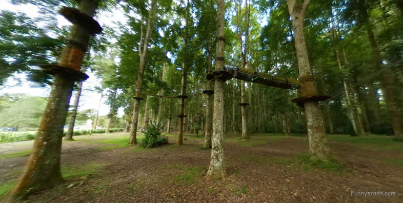 Bali Treetop Adventure Park Tree Houses Indonesia VR Tourism Locations 1