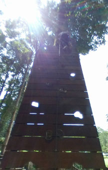 Bali Treetop Adventure Park Tree Houses Indonesia VR Tourism Locations tmb5