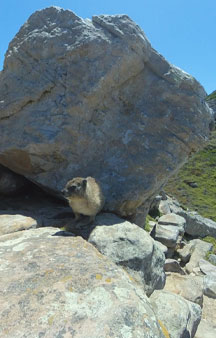 Cape Of Good Hope South Africa Tourism vr map links tmb2