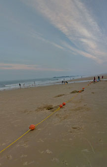 Clam Mussel Digging Annual Summer VR Event Taiwan Beach Kinmen Island tmb6