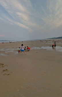 Clam Mussel Digging Annual Summer VR Event Taiwan Beach Kinmen Island tmb8