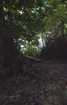 Crab Island Christmas Island Australia Tour Locations tmb3