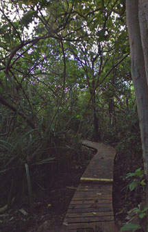 Crab Island Christmas Island Australia Tour Locations tmb6