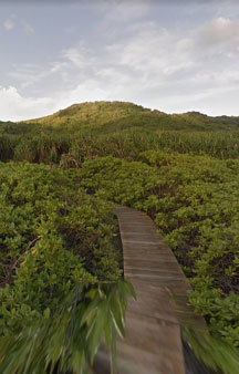 Crab Island Christmas Island Australia Tour Locations tmb7