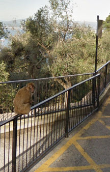 Gibraltar Nature Reserve Tourism tmb1