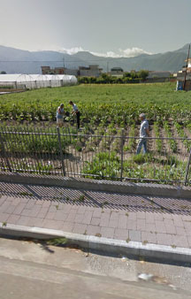 Pompei Panoramica VR Street View Italy Naples tmb108