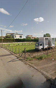 Pompei Panoramica VR Street View Italy Naples tmb22