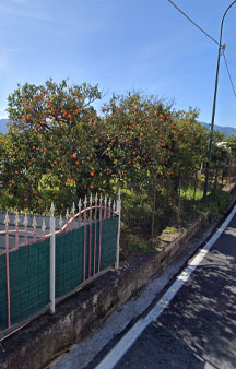 Pompei Panoramica VR Street View Italy Naples tmb47