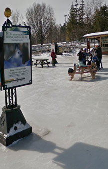 Ice Skate Giant Rink Rideau Canal Gps Ottawa Canada tmb14