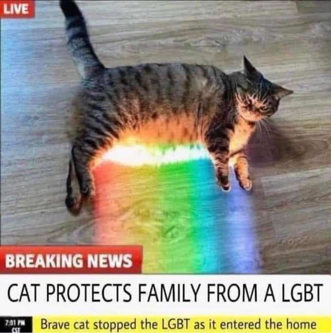 Cat protects family from a lgbt