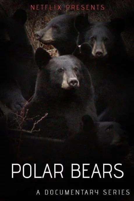 Netflix presents polar bears