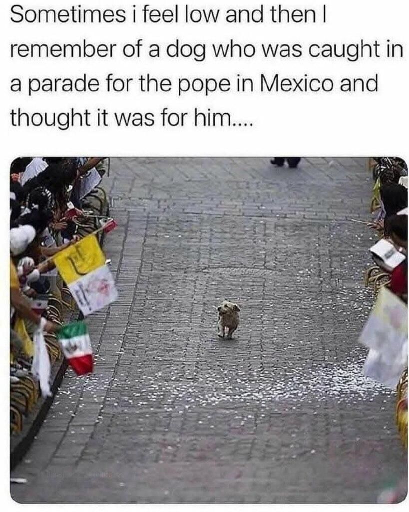 Dog In Parade For Pope