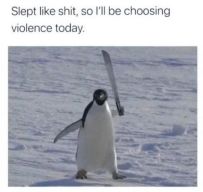 Choosing Violence Today