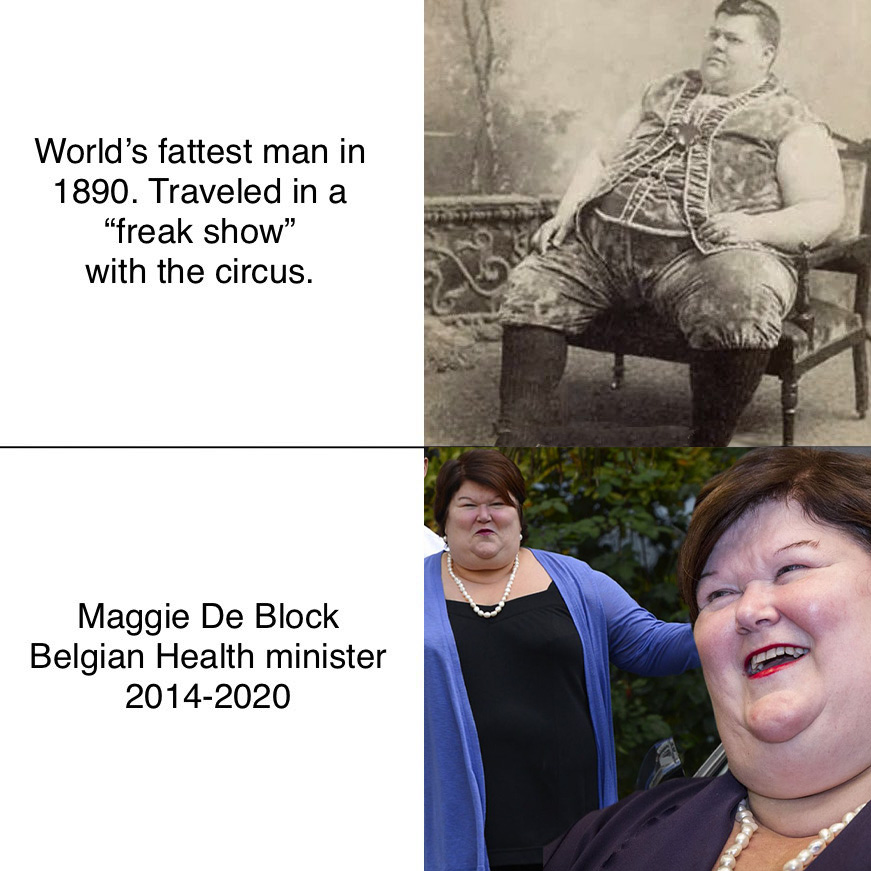 Belgian health minister 2014-2020