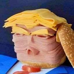 Trump spam roll