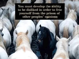 Develop The Ability To Be Disliked