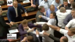 Ukraine Parliament Fist Fights