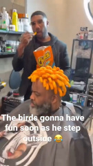 Cheeto Hair Birds Delighted